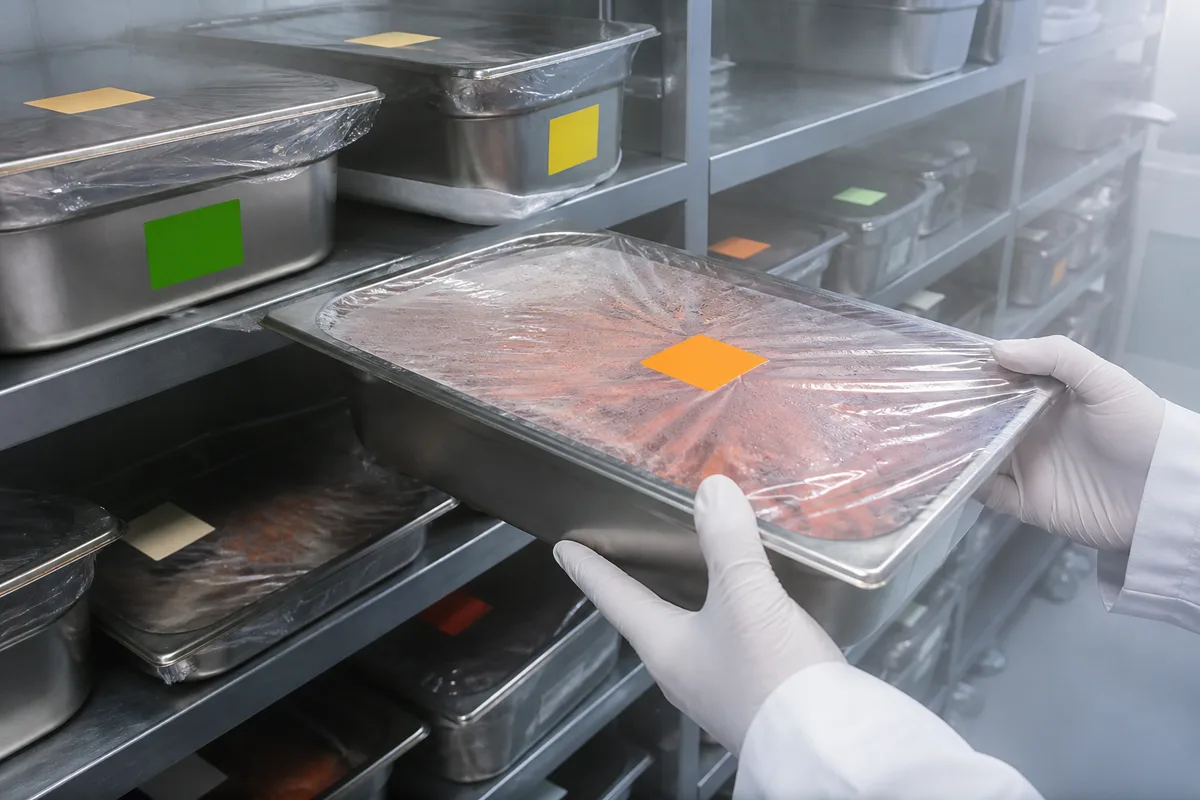 Mains d’un cuisinier vérifiant des bacs alimentaires dans une chambre froide professionnelle